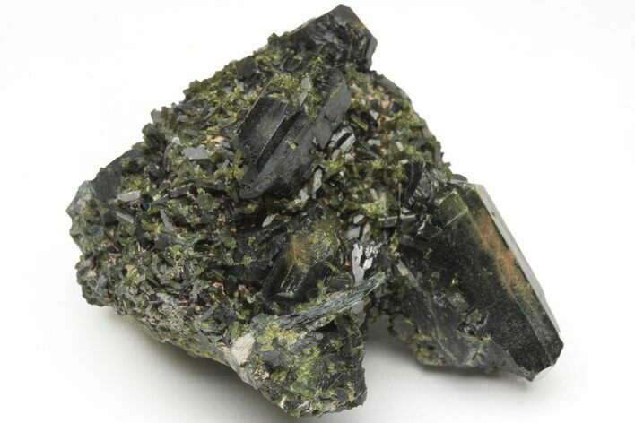 Lustrous, Epidote Crystal Cluster on Actinolite - Pakistan #213440